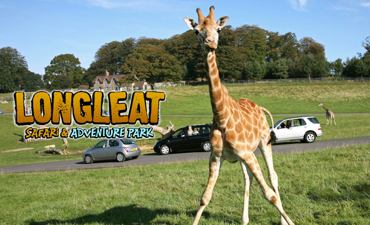 英国郎利特野生动物园｜Longleat Safari Park